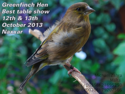 October 2013 closeups_1