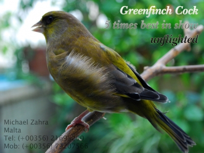 October 2013 closeups_2