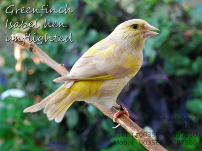 October 2013 closeups_1