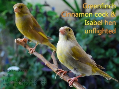 October 2013 closeups_2