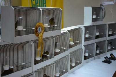 Annual General Meeting_8