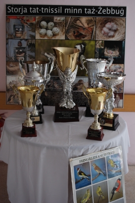 Annual Show 2013 Mount Carmel Hospital_1