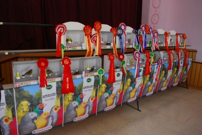 Annual Show 2013 Mount Carmel Hospital_2