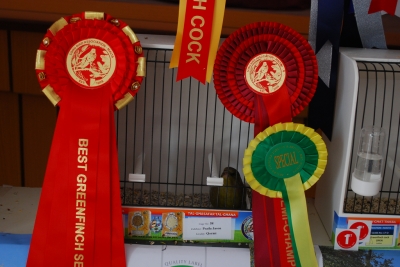 Annual Show 2013 Mount Carmel Hospital_4