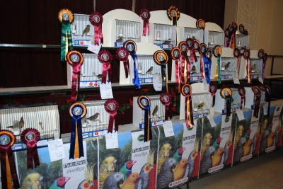 Best in show section_1