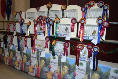 Best in show section_2