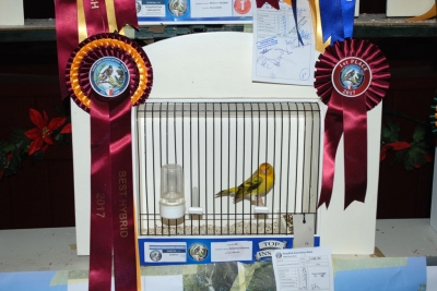 Antoine Debono Best Hybrid_1