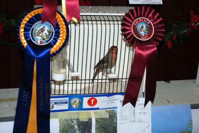 Antoine Debono 2nd Best Foreign Finch_1