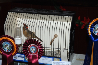 William Rutzen Best Cardinal_1