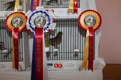 5th Annual Show_2