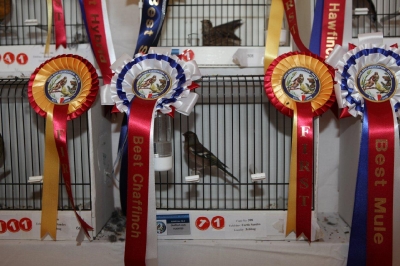 5th Annual Show_3