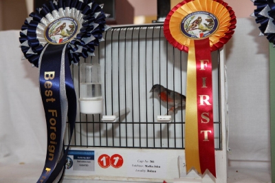5th Annual Show_12