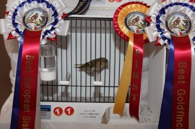 5th Annual Show_13