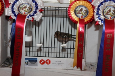 5th Annual Show_15