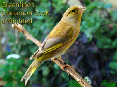 October 2013 closeups_3