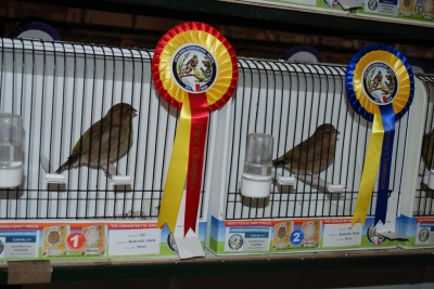 Annual show 2014_24
