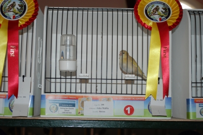 Annual show 2014_37