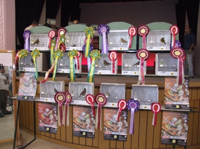 3rd Annual Show-Attard_1