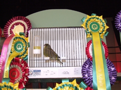 3rd Annual Show-Attard_2