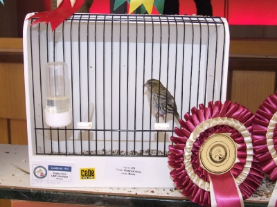 3rd Annual Show-Attard_3