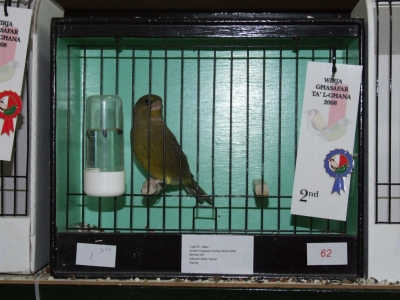 February 2008 annual show_13