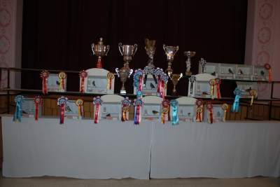 Annual show 2014_1