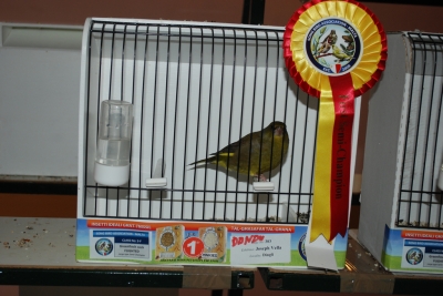 Annual show 2014_22