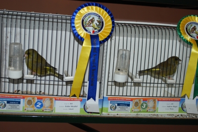 Annual show 2014_23