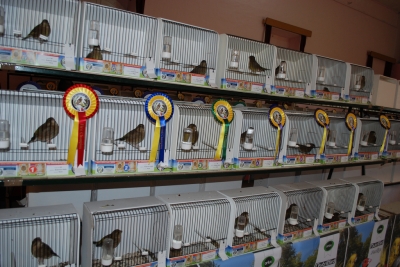 Annual show 2014_25