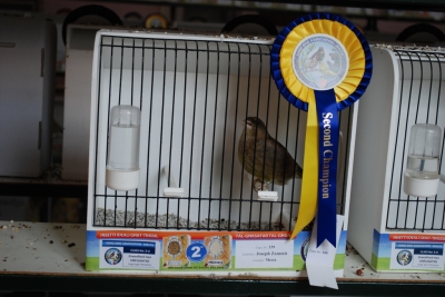 Annual show 2014_26