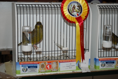 Annual show 2014_27