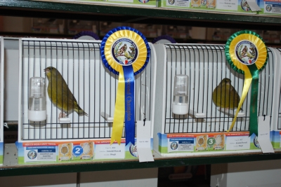 Annual show 2014_28