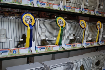 Annual show 2014_30
