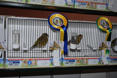 Annual show 2014_31