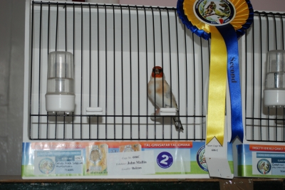 Annual show 2014_38
