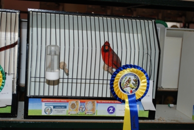 Annual show 2014_41