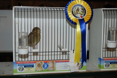 Annual show 2014_45