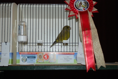 Annual show 2014_47