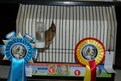 Annual show 2014_48