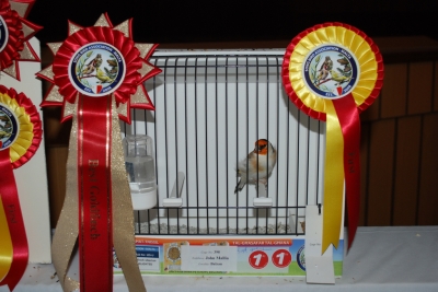 Annual show 2014_49