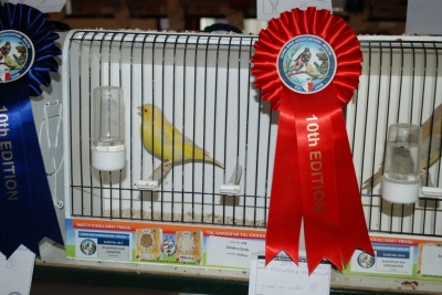 Annual Show November 2016_15