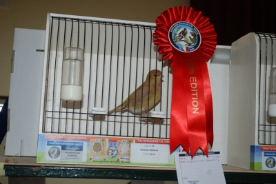 Annual Show November 2016_16
