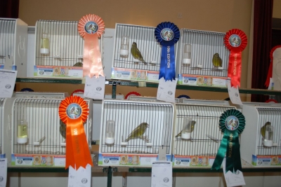 Annual Show November 2016_21