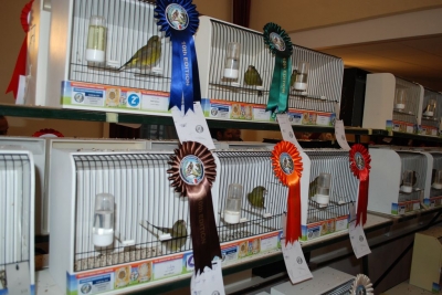 Annual Show November 2016_22