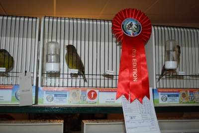 Annual Show November 2016_23