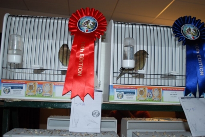 Annual Show November 2016_24