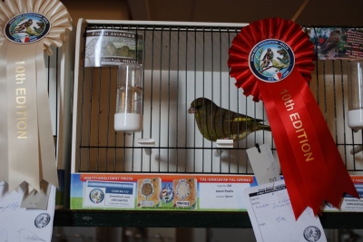 Annual Show November 2016_25