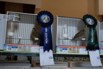 Annual Show November 2016_29