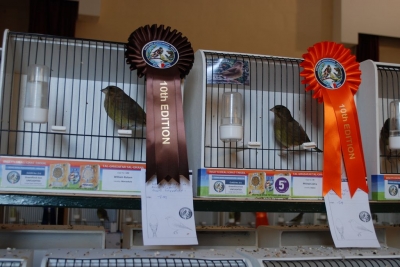 Annual Show November 2016_30