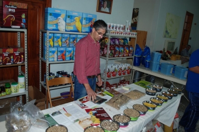 Annual show November 2016_3